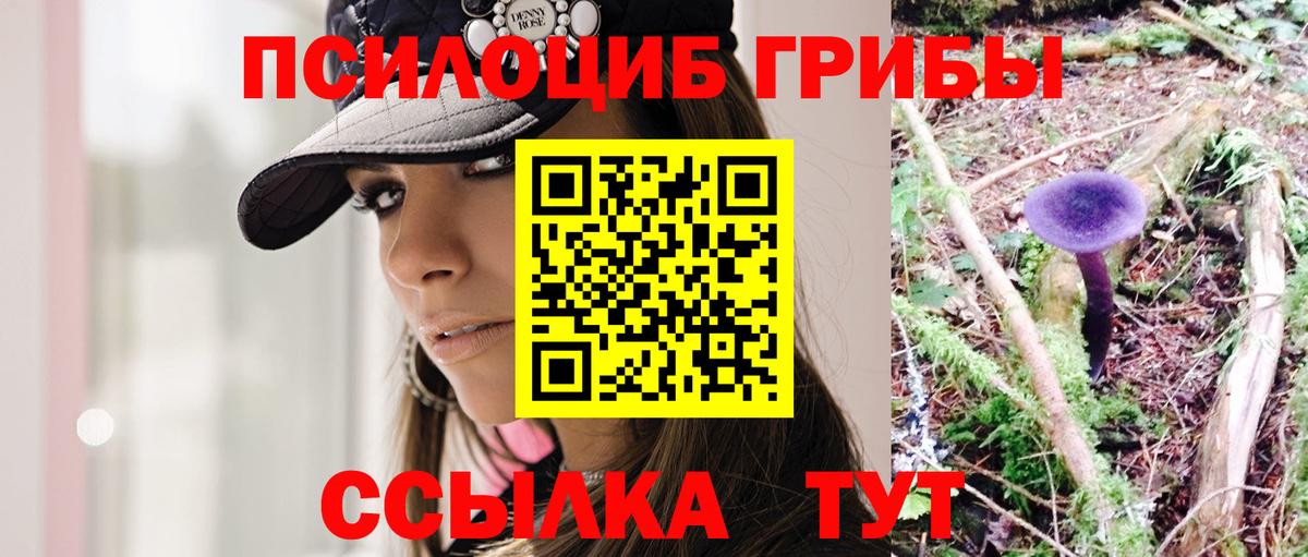 Кольчугино  Псилоцибиновые грибы мицелий  Вход с VPN 