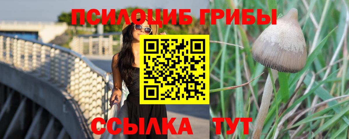Галлюциногенные грибы Magic Shrooms Кольчугино